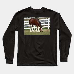 Clydesdale Long Sleeve T-Shirt